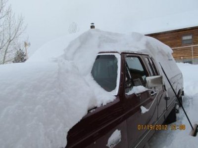snow_1-19-2012.jpg