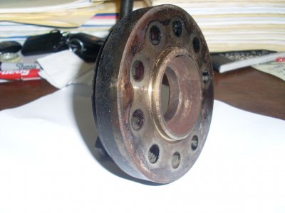SL375914.JPG