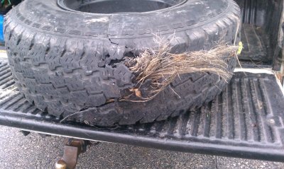 tire blowout.jpg