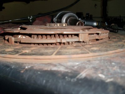SL376219.JPG