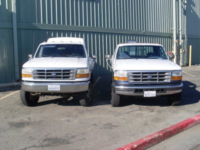 SL377131.JPG
