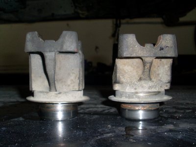 SL376007.JPG