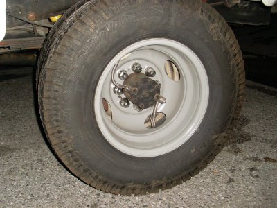 SL377751.JPG