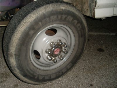 SL377750.JPG