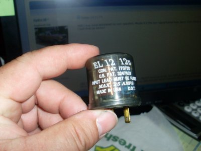 SL377793.JPG