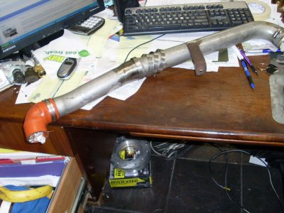 SL377798.JPG