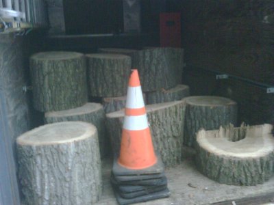 IMG00237-20130128-1614.jpg