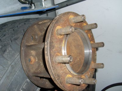 SL373135.JPG