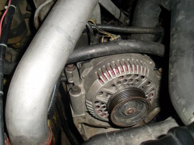 SL375736.JPG