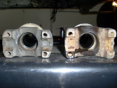SL376005.JPG