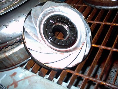4r100 034 (Medium).jpg