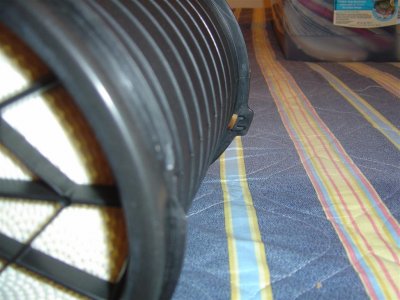 DSC01776 (Large).JPG