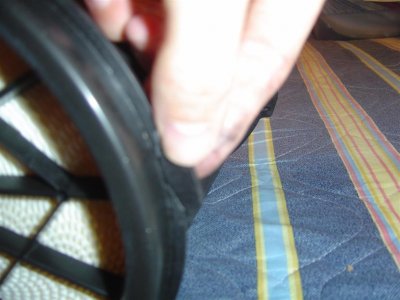 DSC01777 (Large).JPG