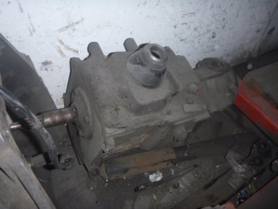 P1010286.JPG