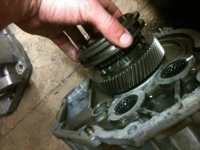 tn_IMG_0890.JPG