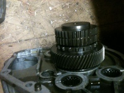 tn_IMG_0889.JPG