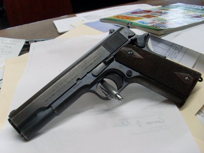 SL373686.JPG