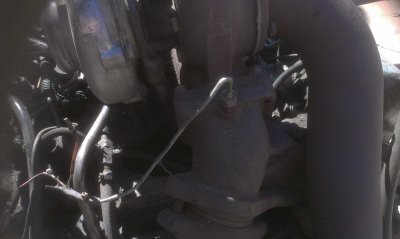 IMAG0583.jpg