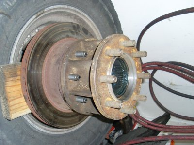 SL373137.JPG