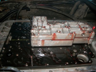 4lower mainv-body.jpg