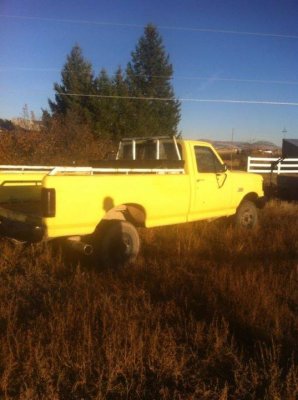 Yellow Ford.jpg