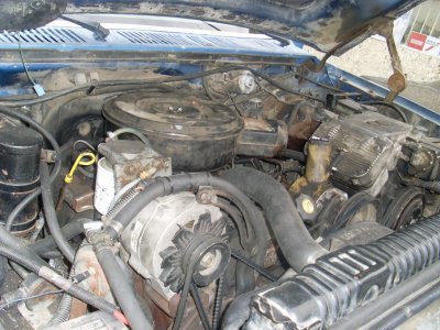 SL378977.JPG
