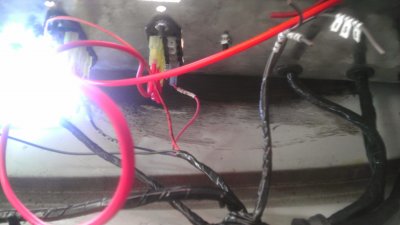 IMAG0226.jpg