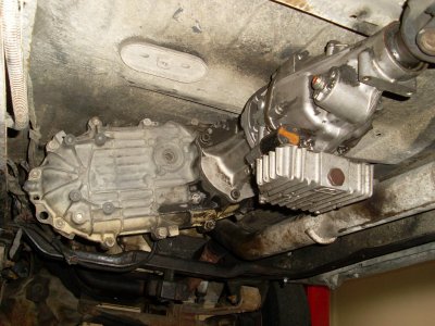 SL376002.JPG