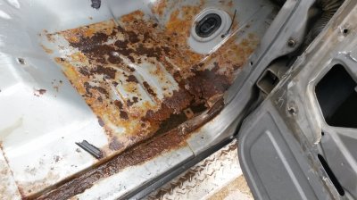 20150425_122037.jpg