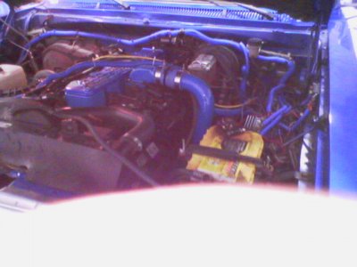 dynoday505bobbunderhood.jpg