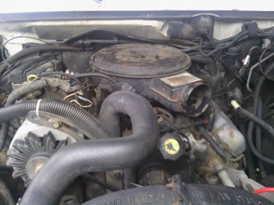 motor 2.jpg