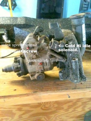 IP Spring hooking.jpg