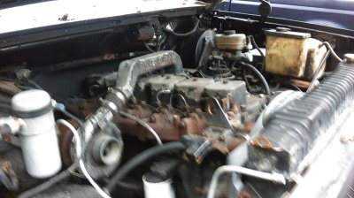 IMAG0599.jpg