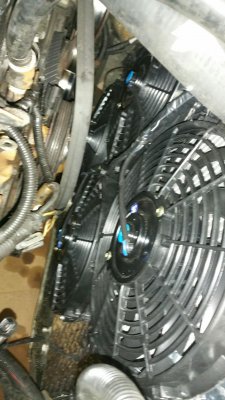 20160320_170819_resized.jpg