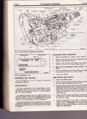 Scan.BMP.jpg