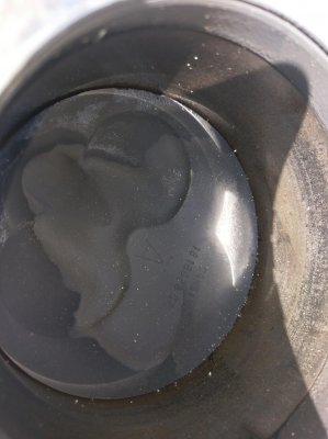 IMAG0227.jpg
