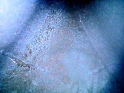 1311057671834.jpg