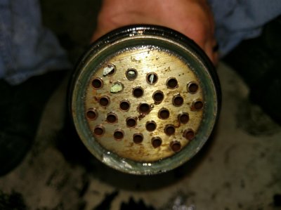 IMAG0892.jpg