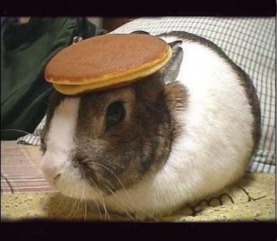 pancake_bunny-1.jpg