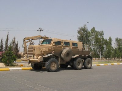 19914buffalo.jpg