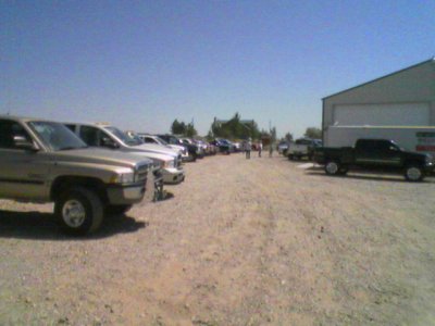 bdogdds05trks3Picture014med.jpg