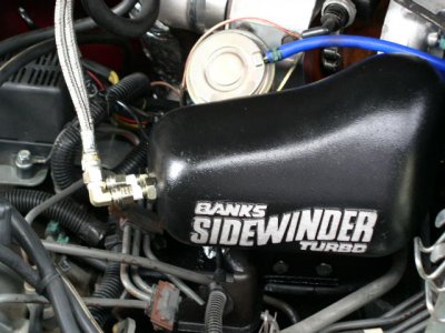 PA150076.JPG