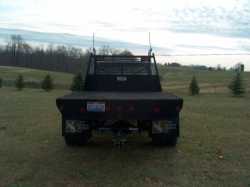 Mule Rear.jpg