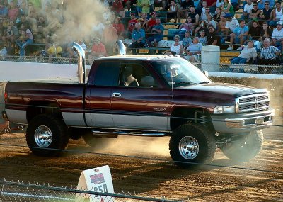 the buck 2005.jpg