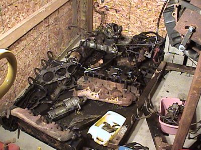 DSC00125-1.jpg