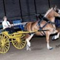 hayisforhorses