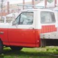 topdog729