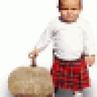 wallbrad
