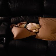 BigSpoon